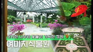 진귀한 나무와 꽃들이 가득한 정원 🌻🌿 여미지식물원