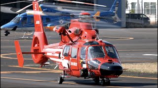 【ヘリコプター】 Eurocopter AS365/565 Dauphin 2/Panther JA119G （東京消防庁航空隊）つばめ５ の離陸〜訓練〜帰投・東京ヘリポート   4K