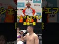 個人的みたいフェザー級トーナメント　 mma rizin ライジン 朝倉未来 平本蓮 voicevox「青山龍星」cv みみっく=わんだぁぼっくす（©ななはぴ）