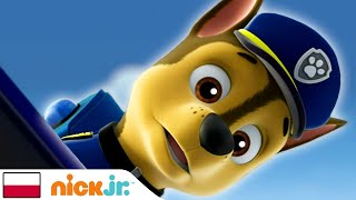 Psi Patrol | Pieski potrzebują twojej pomocy! — część 3 | Nick Jr.