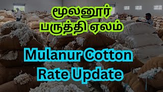 பருத்தி ஏலம் மூலனூர் | நூல் ஆலை நிறுவனங்கள் காண வேண்டிய தகவல் | Cotton Price At Mulanur | Yarn News