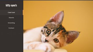 CSS Simple Sidebar Menu With Hover Effect