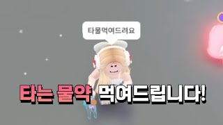 [입양하세요] 타는 물약 먹여드려요