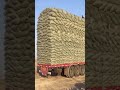 overloaded truck new short video