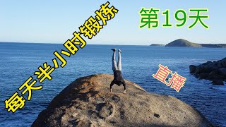 徒手健身，每天半小时锻炼 健身日记19天 . Body weight workout, Convict Conditioning. At home 30 minutes vlog day 19