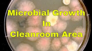 Favorable Conditions for Microbial Growth in Cleanroom Area