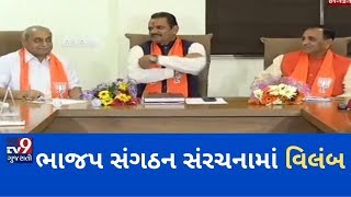 ભાજપ સંગઠન સરચનમાં વિલંબ: મહારાષ્ટ્રના પરિણામોની ગુજરાત પર અસર