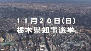 [字幕]2016年 栃木県知事選挙 政見放送 とちぎテレビ版 説明