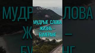 Мудрые Слова | Жизнь – Бумеранг... | Мудрые Мысли #цитаты #мудрость #жизнь #вдохновение #стихи