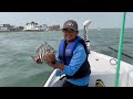 epic sheepshead fishing journey fishing