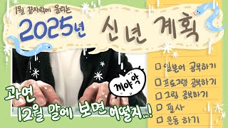 1월 마지막에 올리는 25년 신년 계획! : 일본어, 프로그램, 그림공부 및 자기 관리하기!