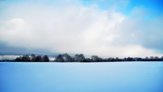 德国下雪了