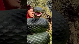 Anaconda Snake in Jungle - PART 2 🐍 #snake #shorts #python #snakes #nagin #anaconda #bigsnake