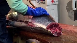 築地市場 マグロ解体 Tokyo Tsukiji Fish Market Cutting Up a Whole Tuna