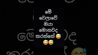 කමෙන්ට් නොකර යන්න ඔට්ටු නෑ.