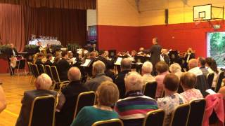 Clonakilty Senior Brass Band July 5th 2014