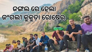 ଜଙ୍ଗଲ ରେ ହେଲା ଜଂଗଲୀ କୁକୁଡ଼ା ଶିକାର ll#Balasorevlog #dhalbabunkagelhapua #viralvideo