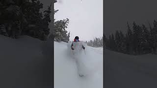 Over 80cm of snow at Whistler Blackcomb overnight. INSANE!