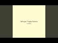Whisper Fragile Serene