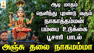 ஆடி மாத நெளிந்து புரண்டு ஆடி வரும் நாககன்னி நாகாத்தம்மன் பம்பை உடுக்கை பாடல் | Apoorva Audios