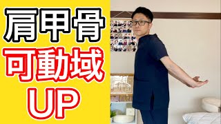 【腰痛 肩こり 五十肩】肩甲骨の可動域をたった30秒で劇的にUPするストレッチ！【埼玉県蕨市 整体院羽翼 TSUBASA 】