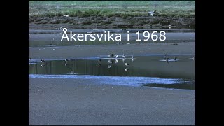 Åkersvika ved Hamar i 1968