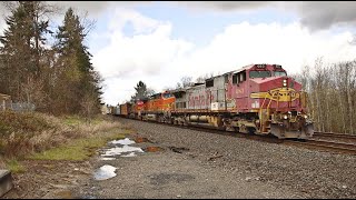 [HD] Trains Along BNSF's Seattle Subdivision, Chehalis, WA. 4/11/23