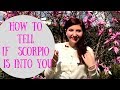 How to tell if Scorpio is into you