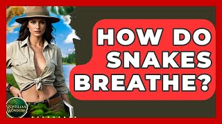 How Do Snakes Breathe? - Reptilian Wonders