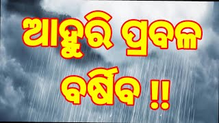 ଲଗାଣ ବର୍ଷାରେ ଜଳବନ୍ଦୀ ଆମ ଗାଁ ର ଚାଷ ଜମି ଓ ପଡ଼ିଆ, ରାସ୍ତା ଘାଟ।।#breakingnews #odisha