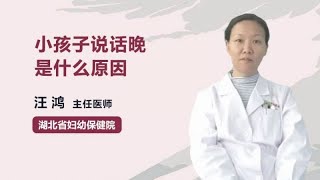 小孩子说话晚是什么原因 汪鸿 湖北省妇幼保健院