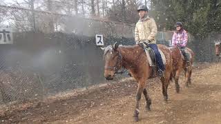 馬場内練習、横木通過