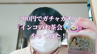 【ガチャガチャ】200円で『インコのお茶会🐦🍵』やってみた！ みか【かわいい】