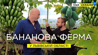 Бананова ферма біля Львова / Як ростуть екзотичні фрукти в -20°C ? / Что посмотреть во Львове?