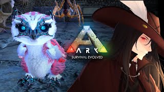 【PC公式：PVEサバ】ARK:Survival Evolved アイランドボス戦ラッシュ！