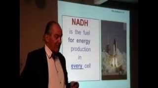 What is NADH?  Taught By Dr Birkmayer