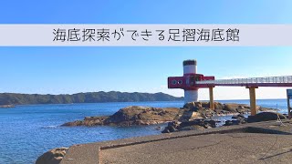 海の中の水族館足摺海底館で沢山の魚たちに出会う