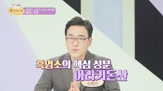 혈관 손상의 원인, ((고혈압+당뇨)) 👉 흑염소 진액으로 예방~! 똥강아지네(gangagine) 4회 | JTBC 211222 방송