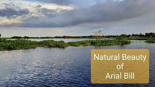 Aerial View of Arial Beel, পাখির চোখে আরিয়াল বিল