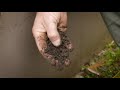 The Garden Gurus - Soil Improvement