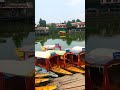 The Kashmir Valley Natural Beauty | #youtubeshorts