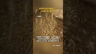 全球大米价格飙升！印度又有大动作