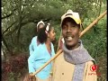 araarsaa gabbisaa yaamaakodii oromo music