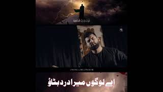 Aye Rozadaron Khaak Urao_Mesum Abbas New Noha Imam Ali as Lyrics Status By KarbaLa 72#shorts
