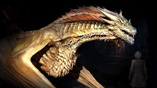 10 TYPES OF DRAGONS You Didn't Know About