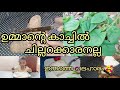 ഉമ്മാന്റെ കാച്ചിൽ ചില്ലറക്കാരനല്ല✅️ /morning routine /Noura's lifestyle