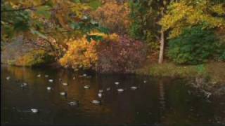 Scenes of Salem - Autumn