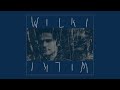 wilki beniamin official audio