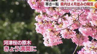 寒さから一転4月並みの陽気に…一方で来週は10℃ほど気温が下がる日も　体調管理に要注意