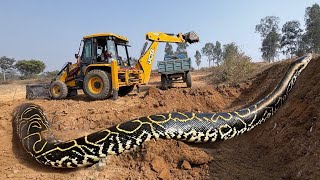 jcb 3dx backhoe loading mud in mahindra JCB 275 Loading JCB working Mud JCB video #jcb #jcbvideo